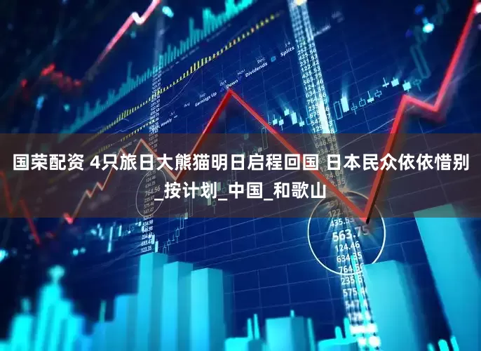 国荣配资 4只旅日大熊猫明日启程回国 日本民众依依惜别_按计划_中国_和歌山